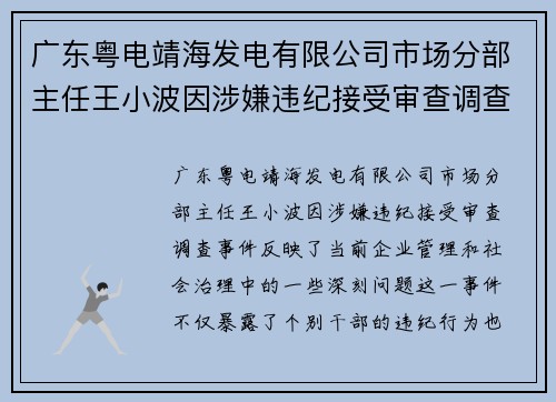 广东粤电靖海发电有限公司市场分部主任王小波因涉嫌违纪接受审查调查