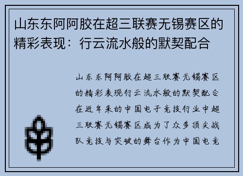 山东东阿阿胶在超三联赛无锡赛区的精彩表现：行云流水般的默契配合